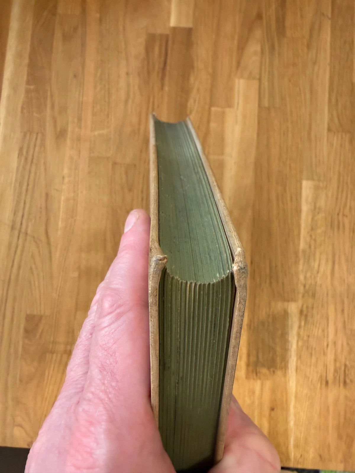 The Formal Garden in England Reginald Blomfield Inigo Thomas 1892 1st Edition (Secondhand Book)